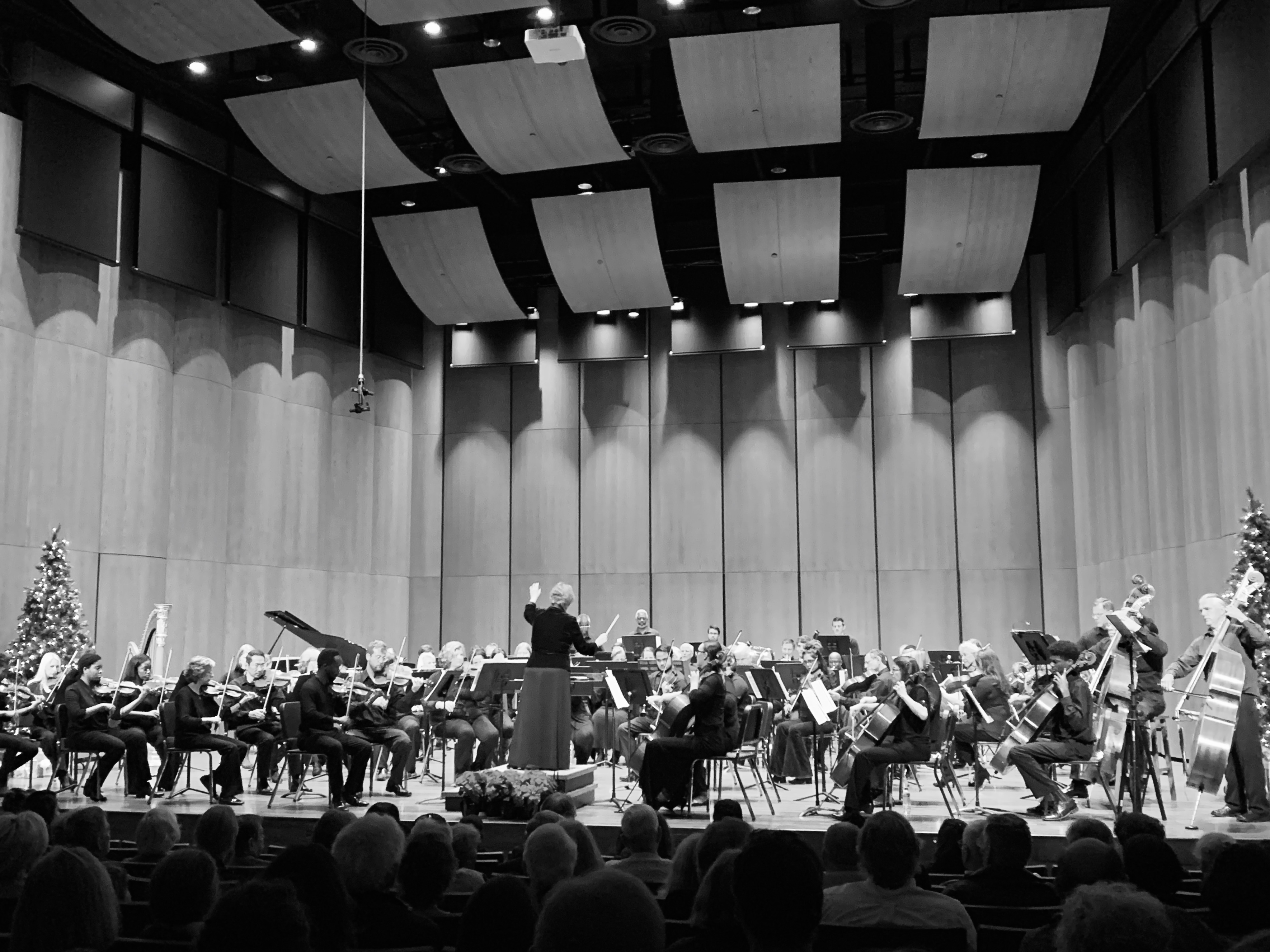 The Jacksonville Civic Orchestra 2019 'Winter Dreams' Concert presented by Smith Hulsey & Busey